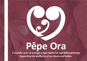 Downloadable flip chart of Pēpe Ora services